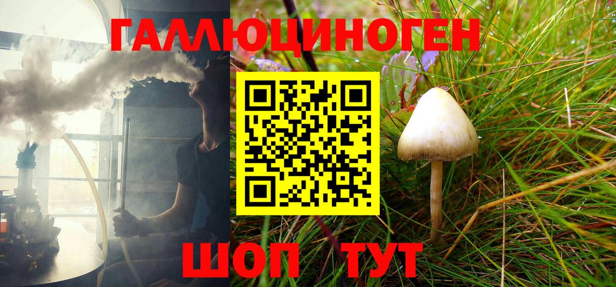 где купить наркотик  Галлюциногенные грибы Psilocybe  Вход с VPN  Галлюциногенные грибы GOLDEN TEACHER  Геленджик 